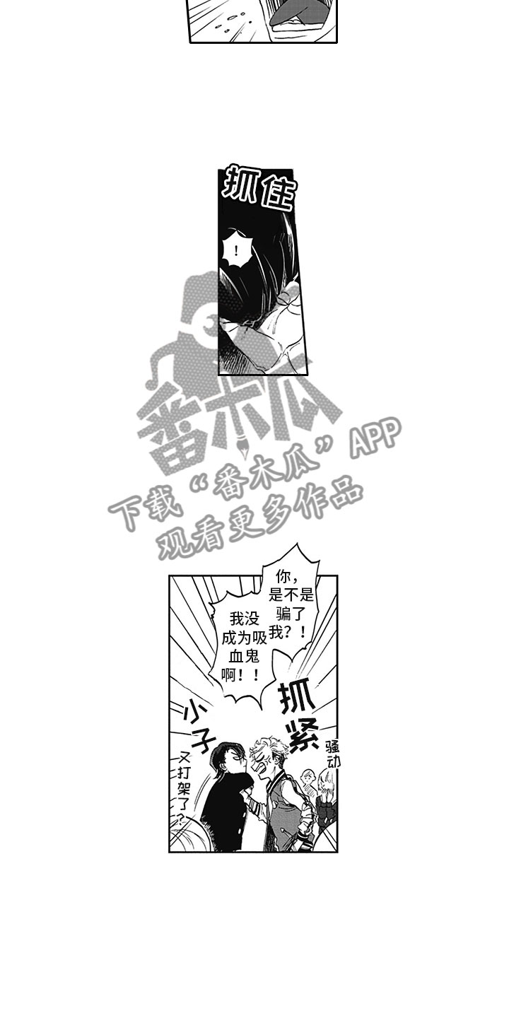 第5章：纠缠12