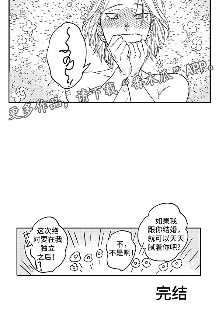 第21章：求婚17
