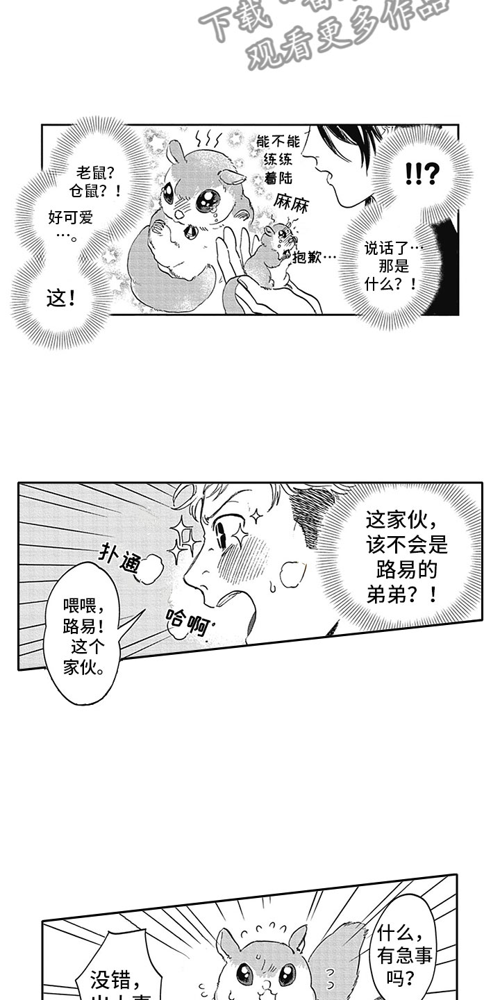 第7章：开心14