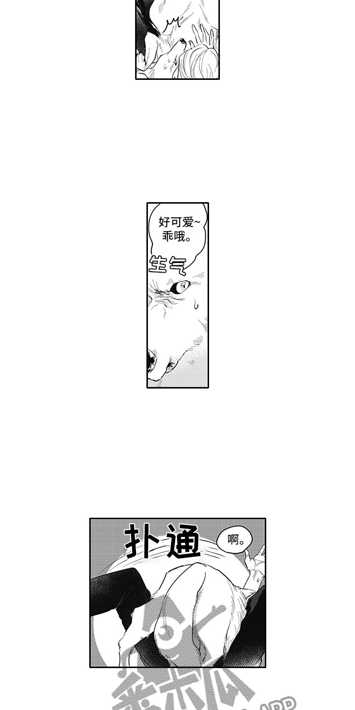 第15章：得偿所愿13