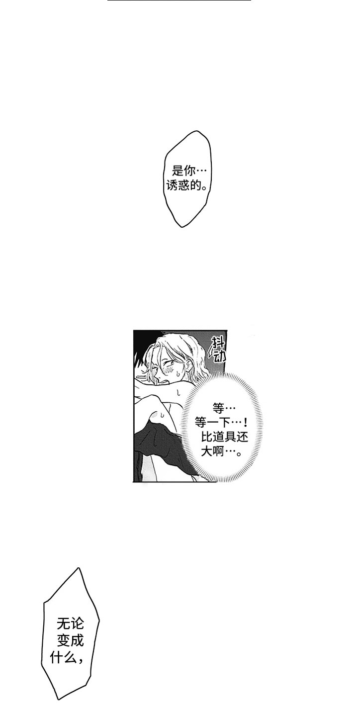 第20章：借手14