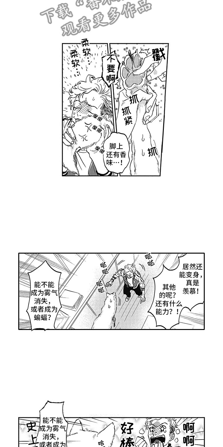 第6章：真面目11