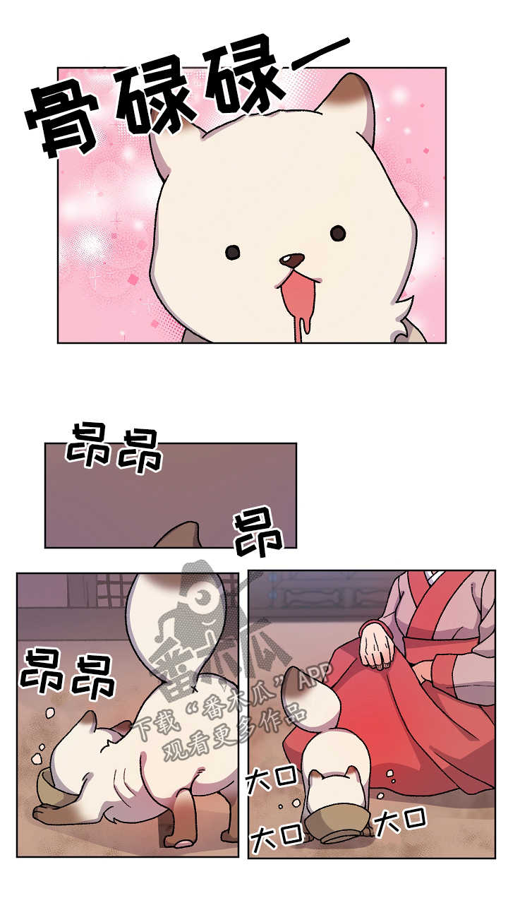第35章：收养7
