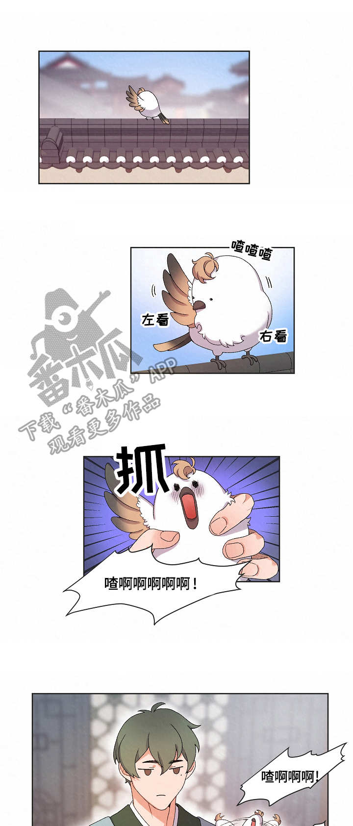 第15章：看望8