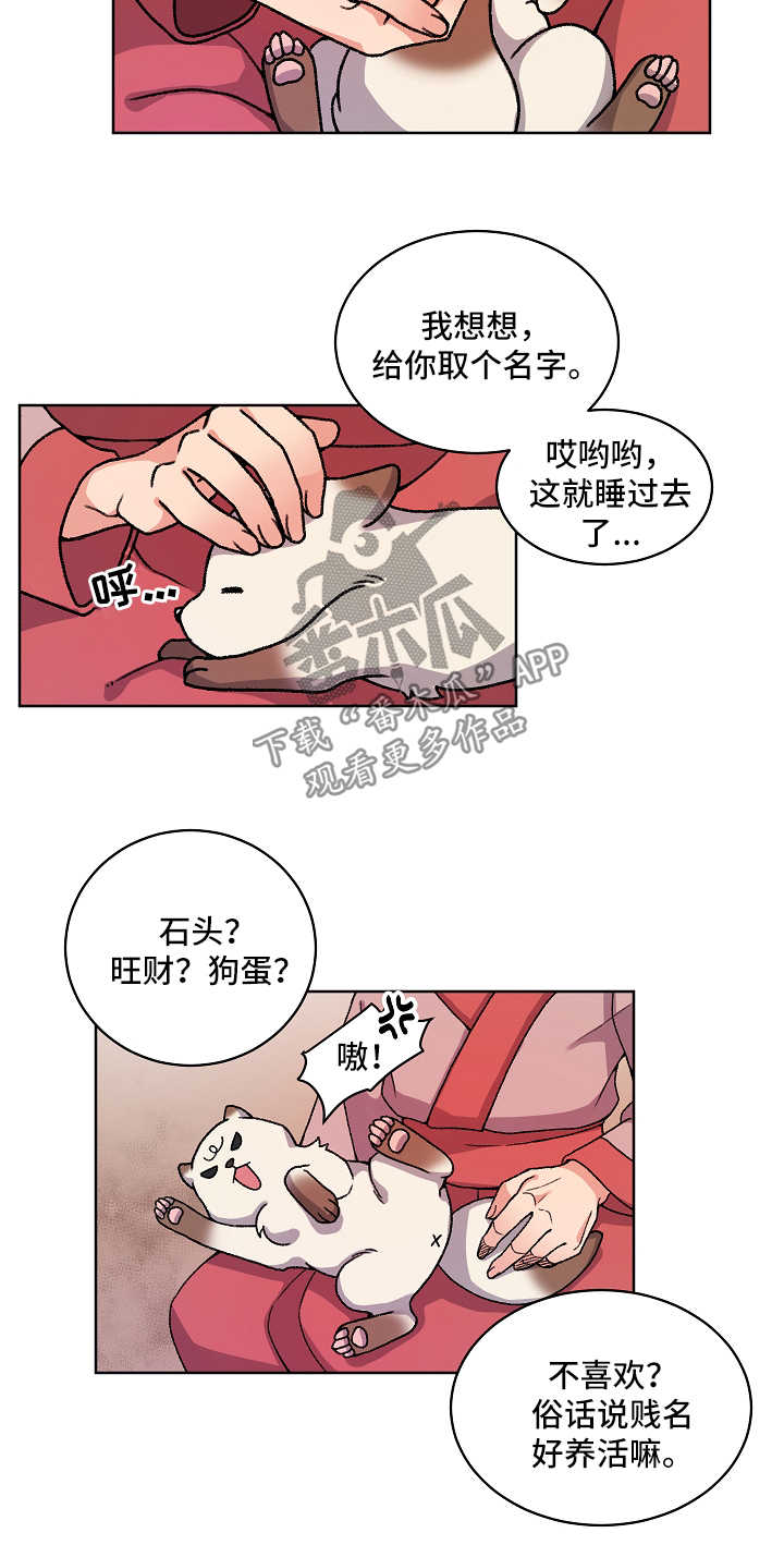 第35章：收养10