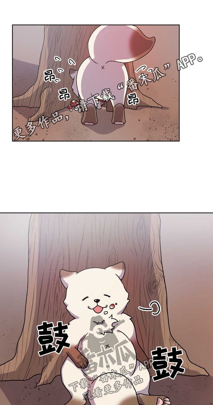 第34章：走丢10