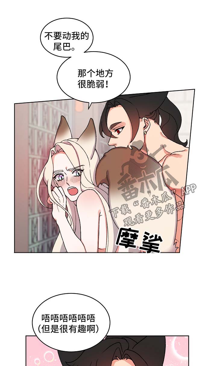 第22章：尾巴11
