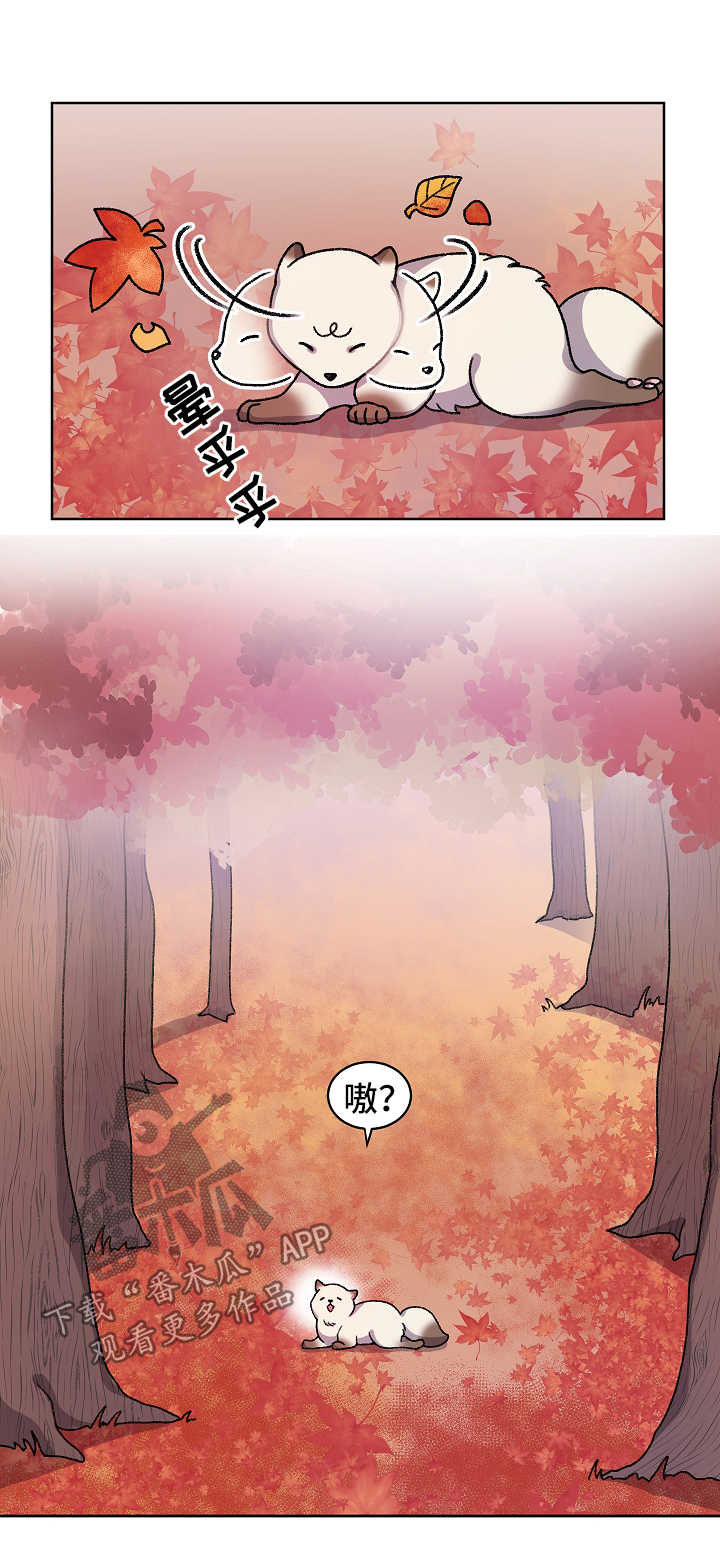 第34章：走丢4