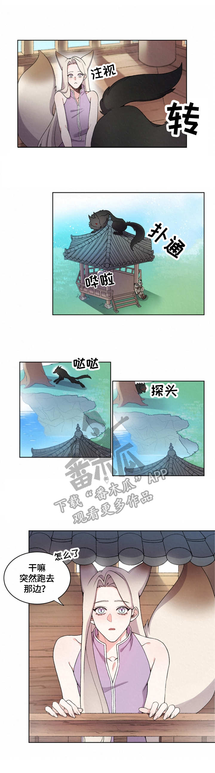 第7章：狼9