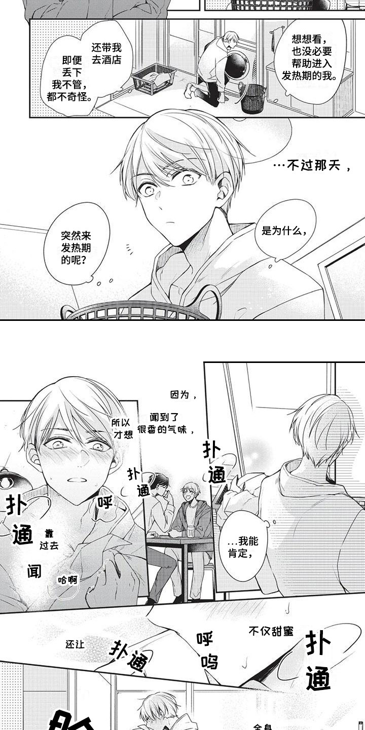 第2章：气味5