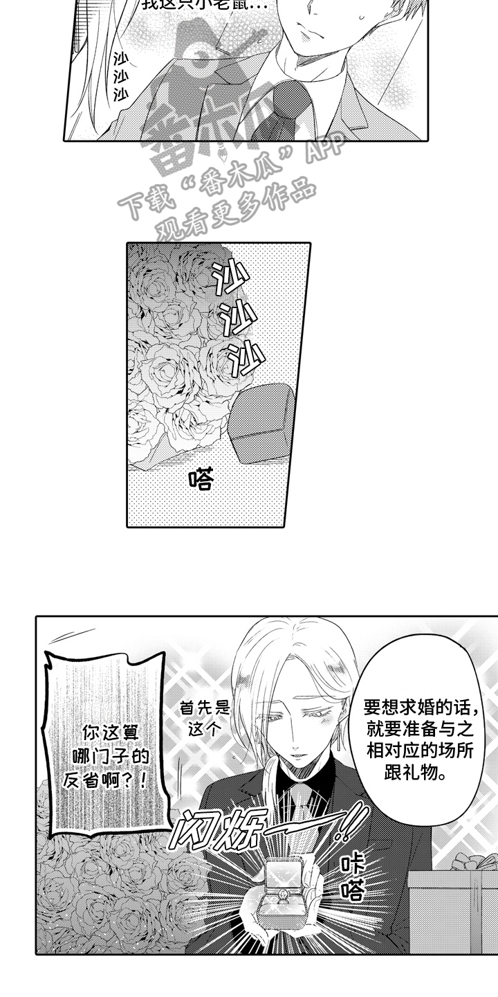 第13章：顺序9