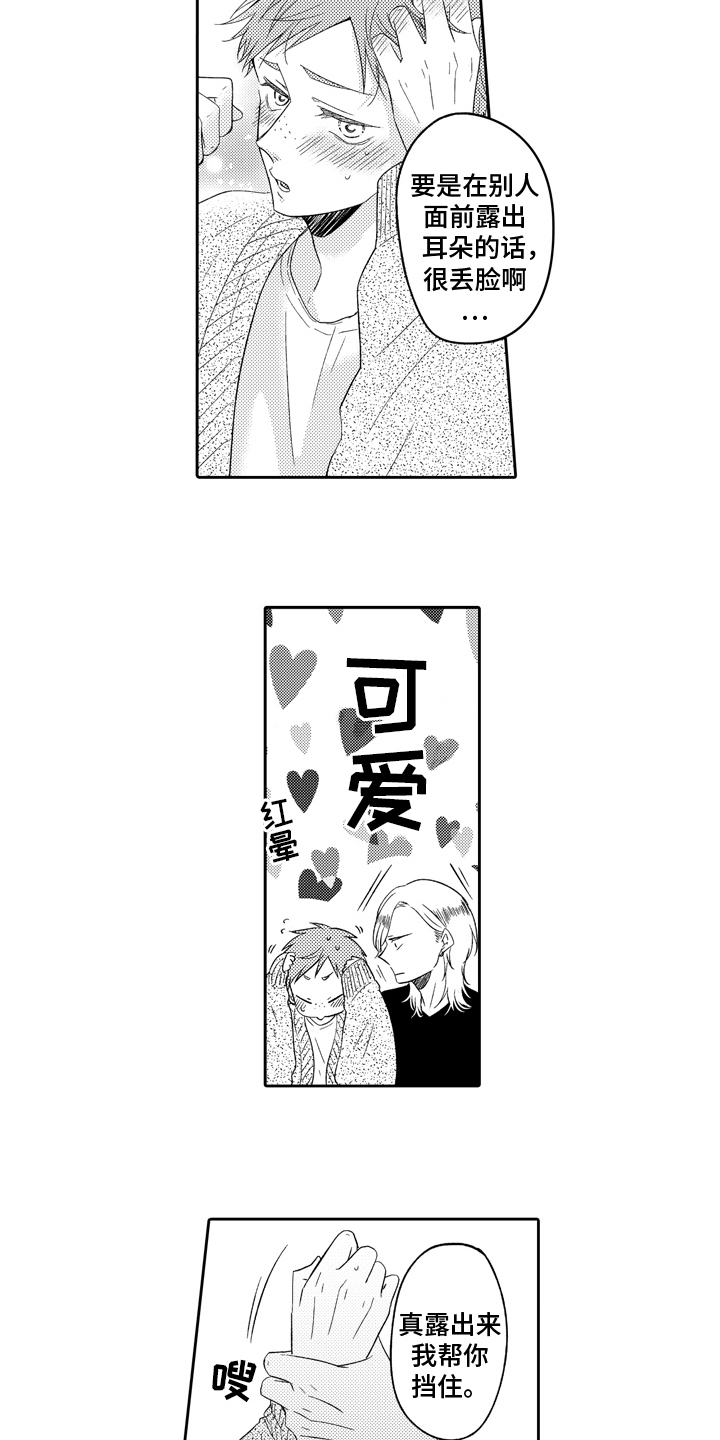 第16章：采访11