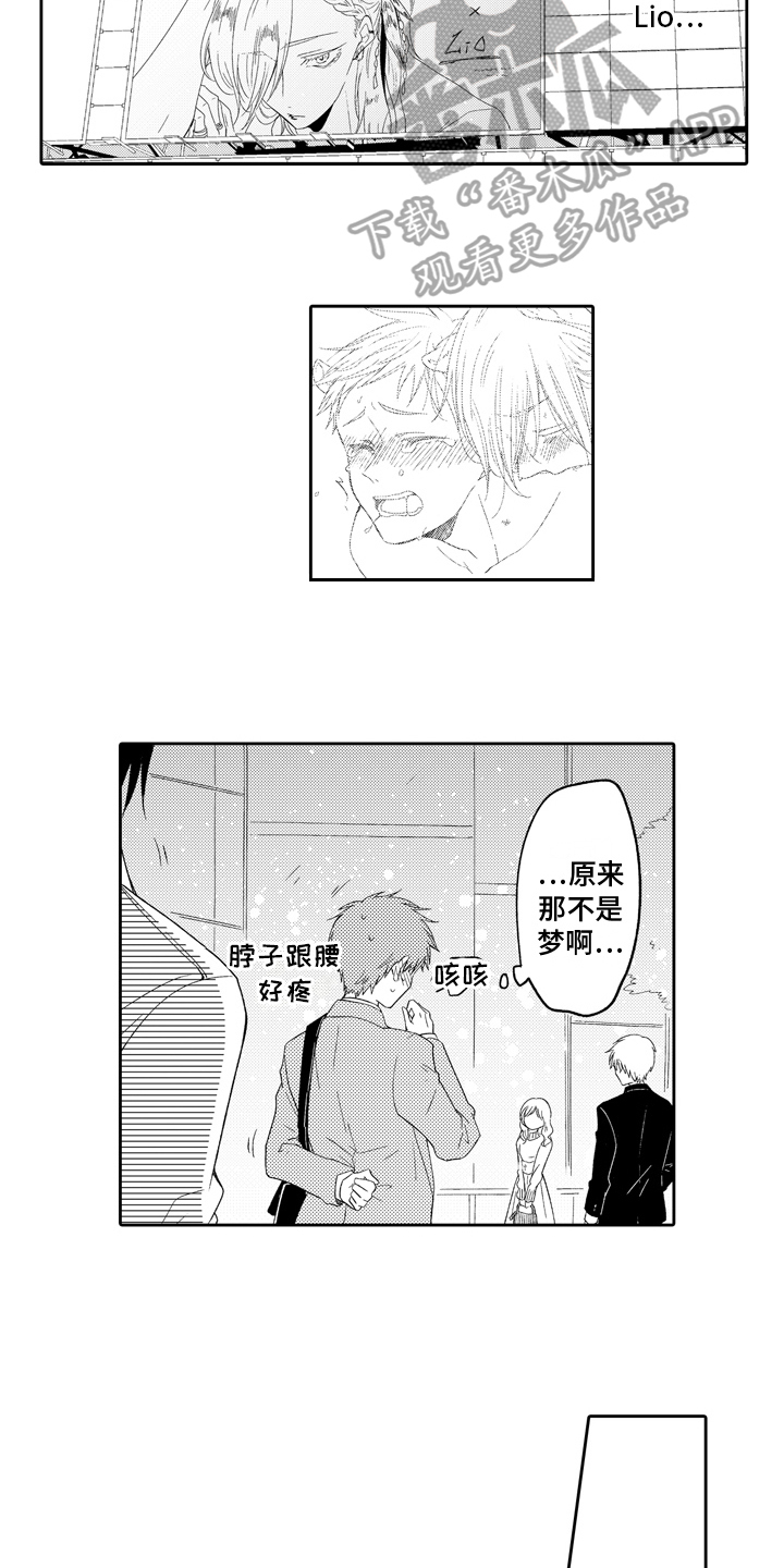 第13章：顺序4