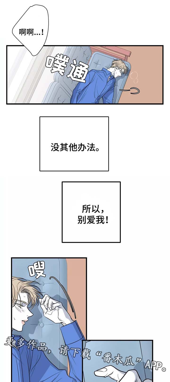 第29章：别爱我4