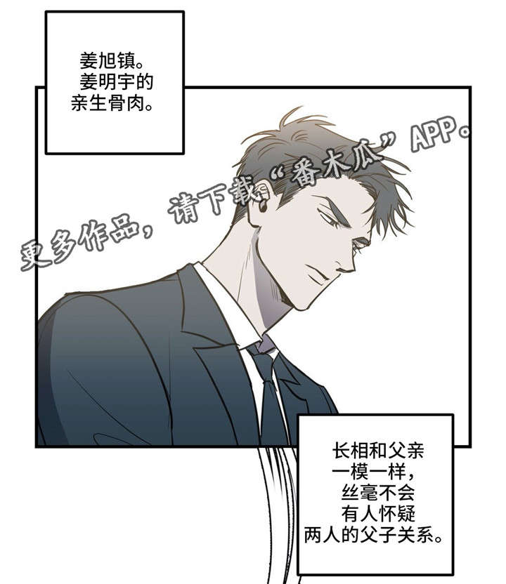第17章：冉冉升起的星星6