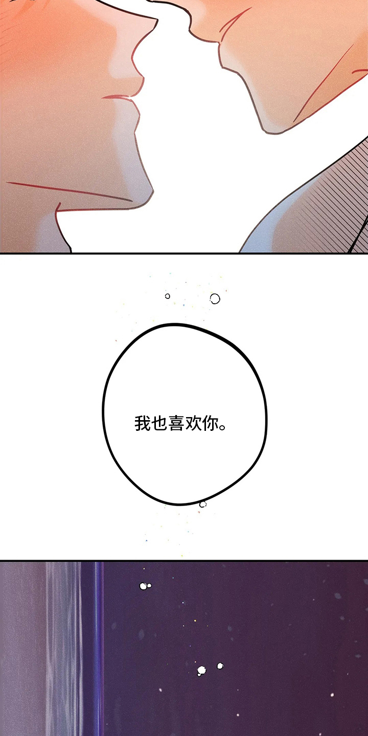 第79章：【完结】初恋17