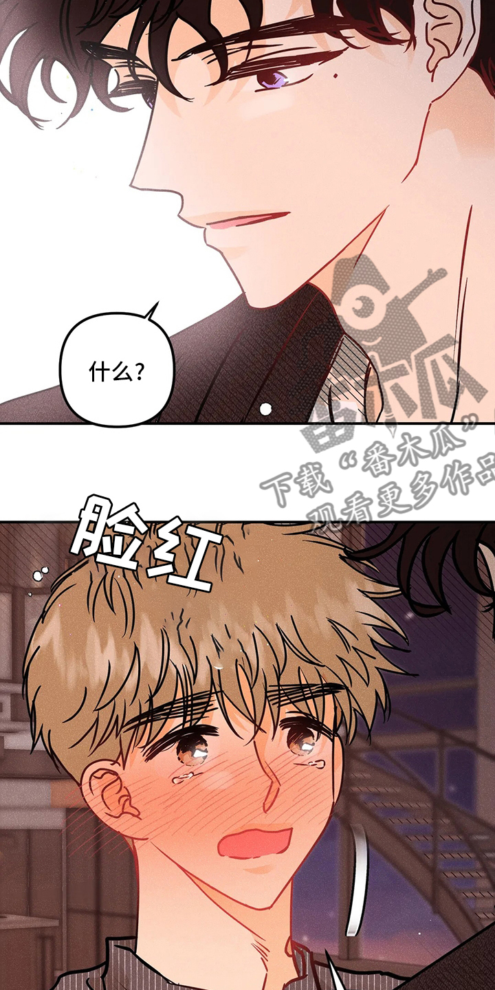 第68章：表白13