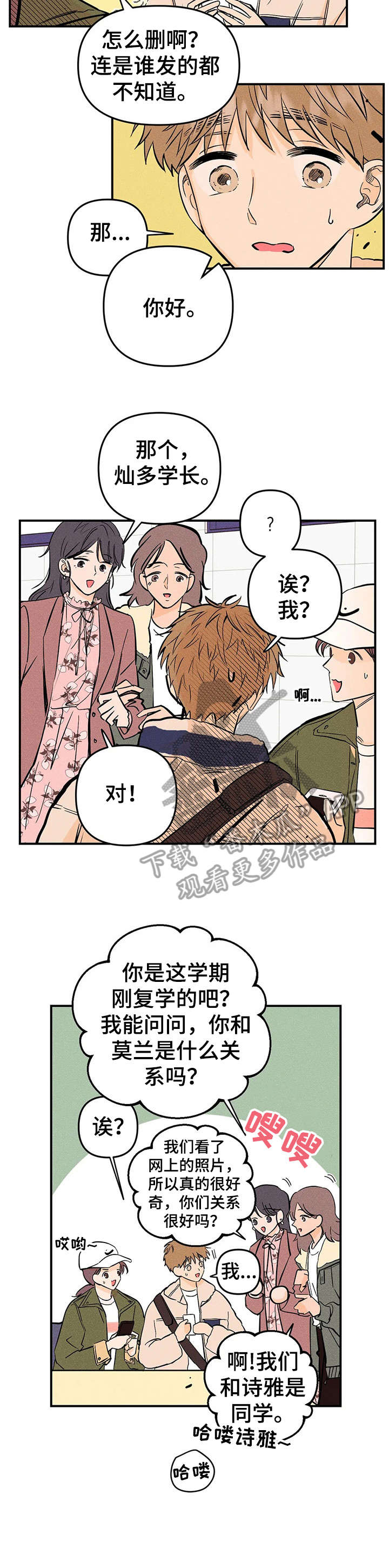第12章：调查7