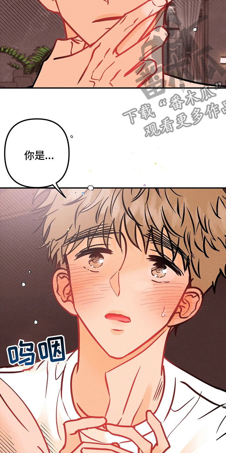 第62章：没事13