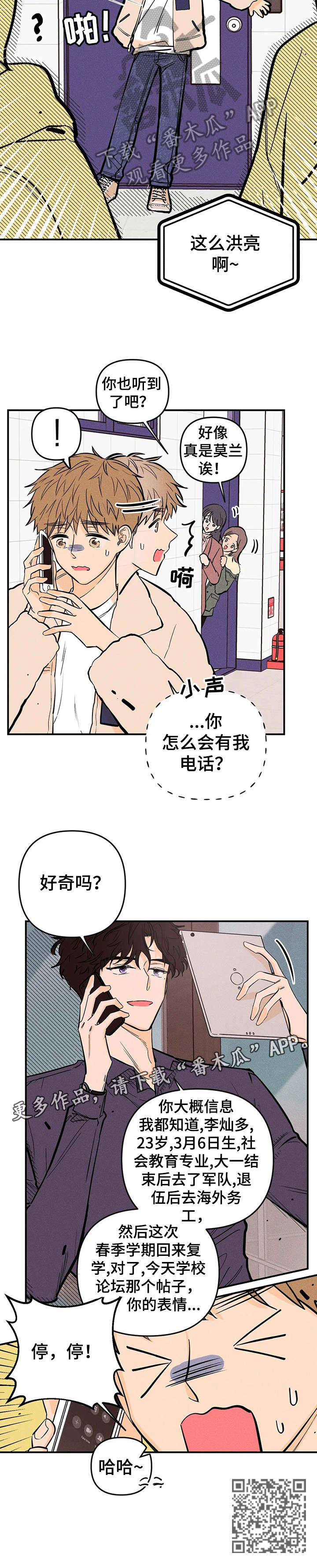 第12章：调查10