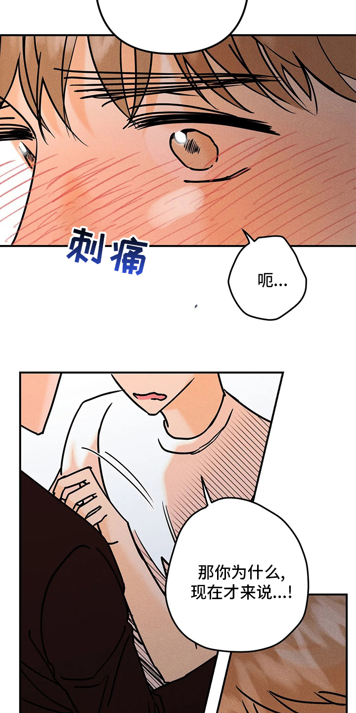 第79章：【完结】初恋1