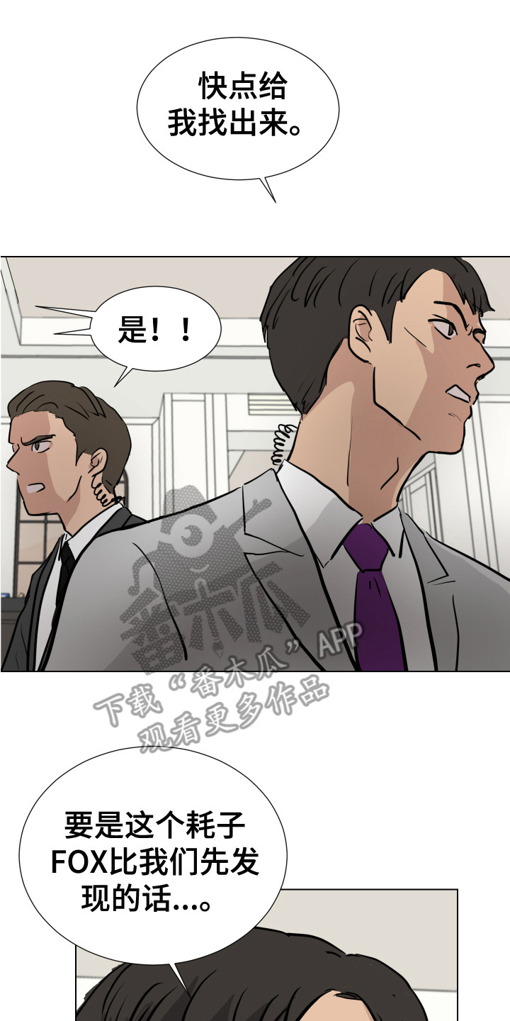 第21章：躲藏19