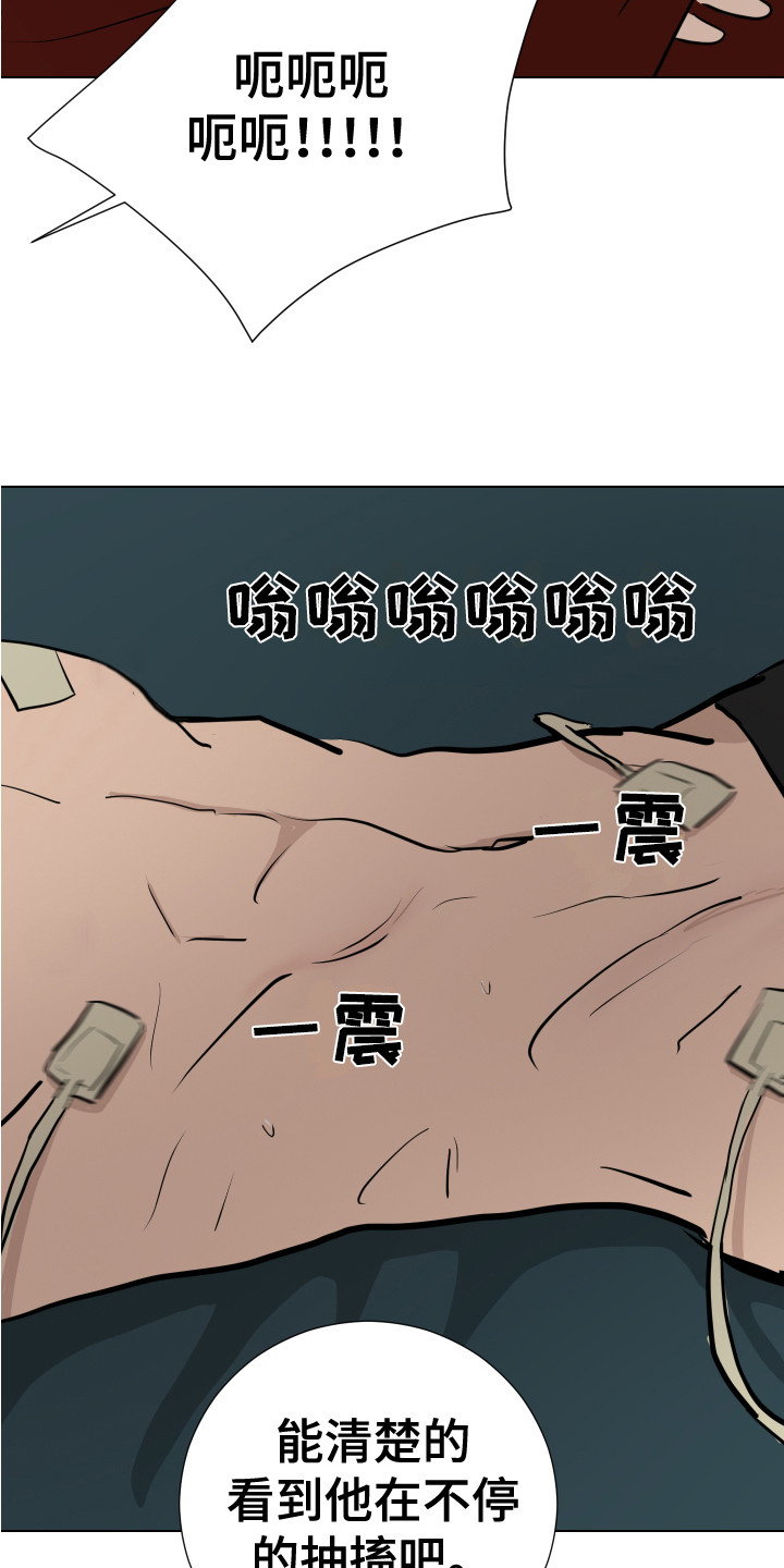 第12章：感官刺激15