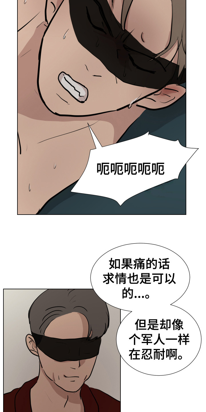 第12章：感官刺激17