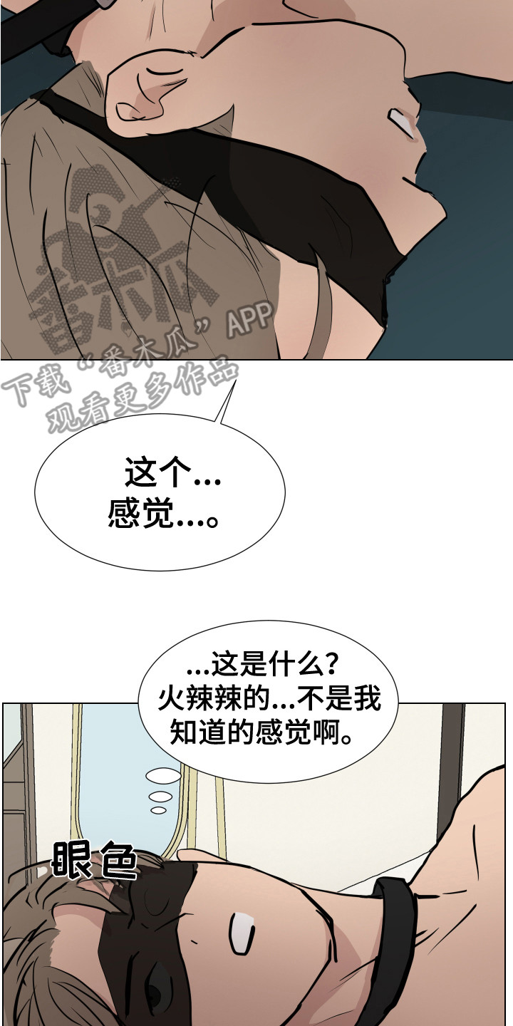 第12章：感官刺激7