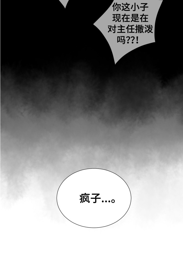 第27章：疯子20
