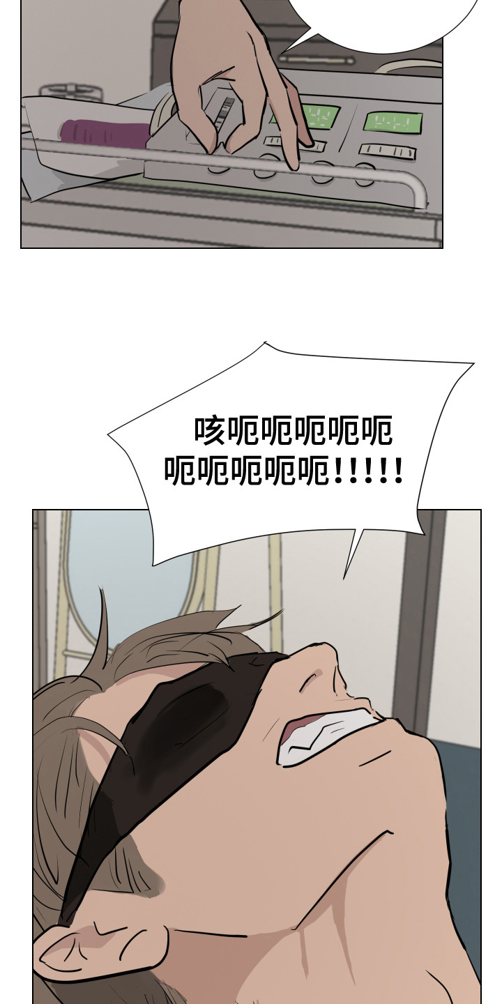 第12章：感官刺激12