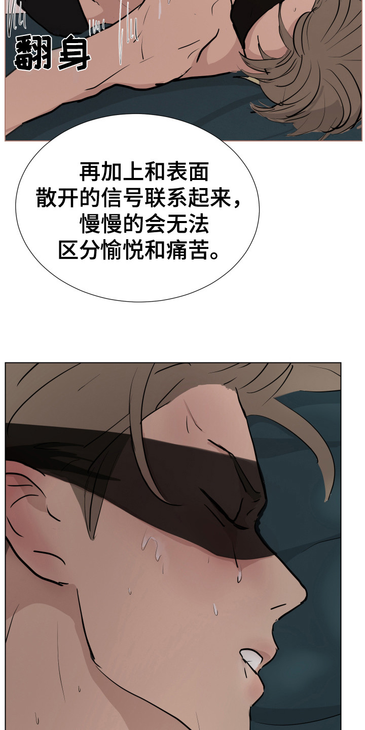 第13章：准备完毕11