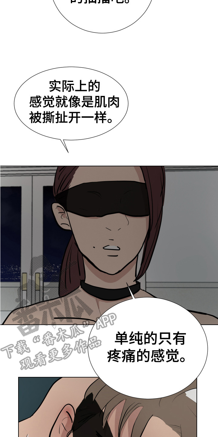 第12章：感官刺激16