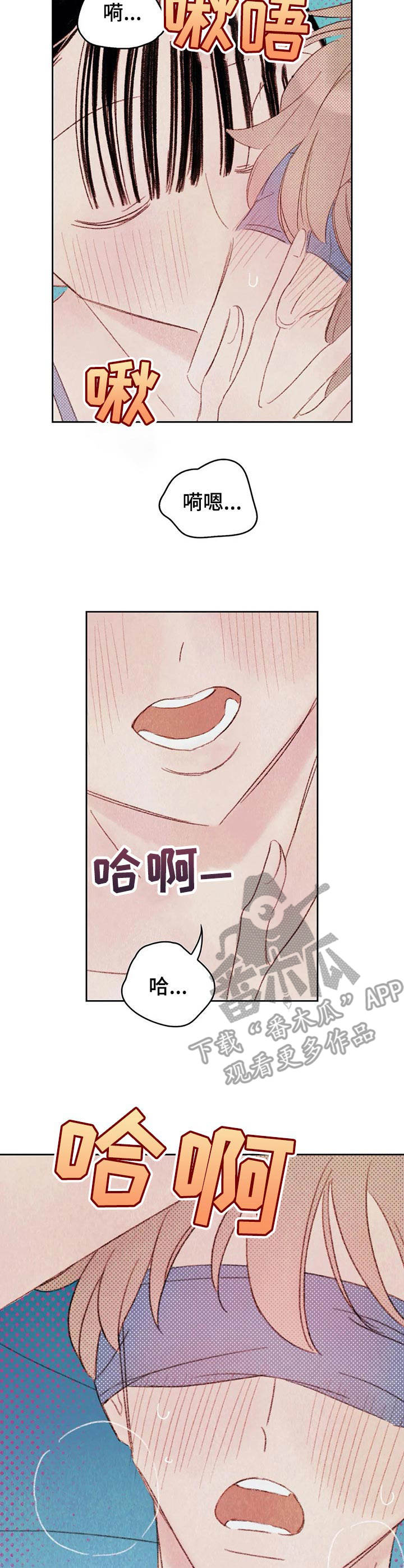 第11章：柔软6