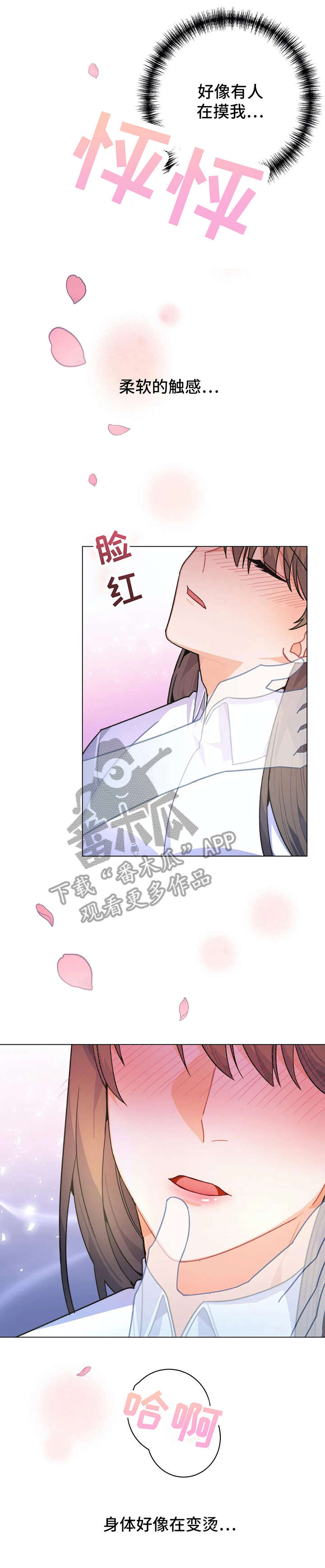 第5章：花9