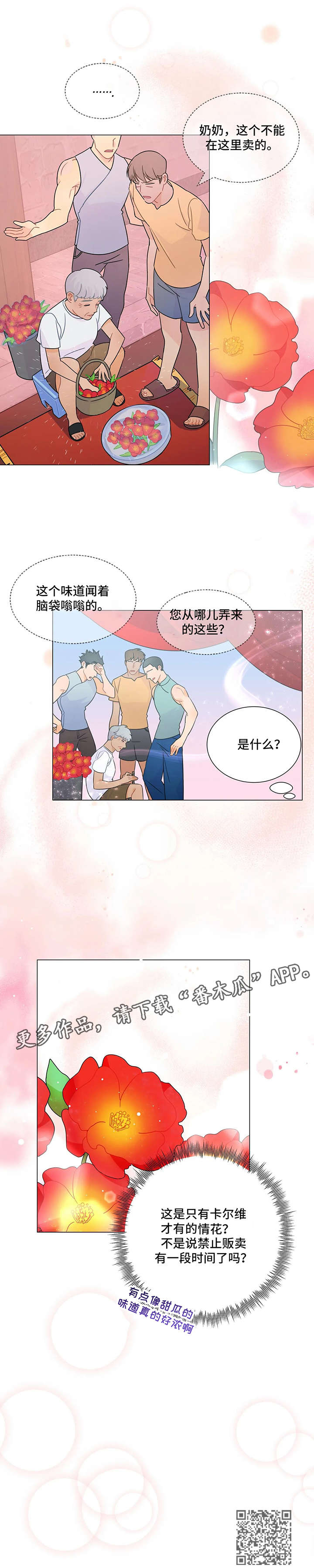 第5章：花5