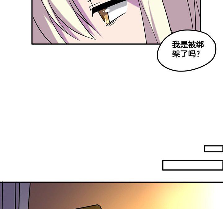 第85章：奇怪的绑架3