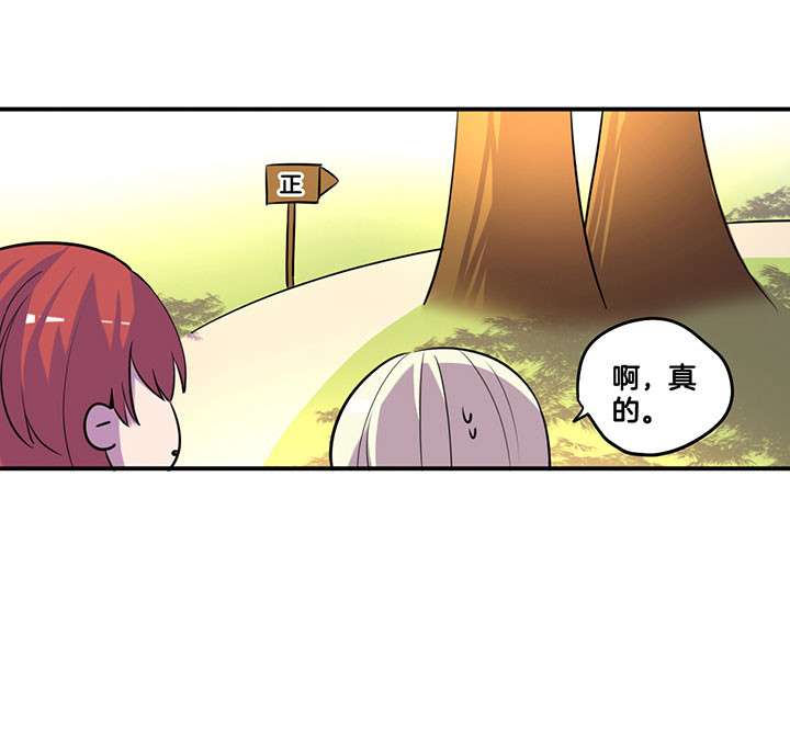第49章：7
