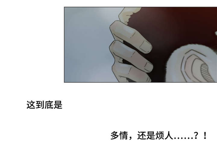 第39章：房东6