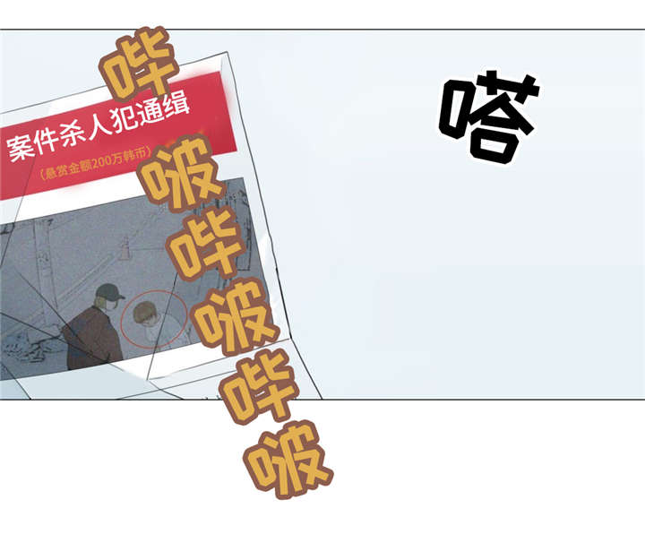 第17章：警车声17