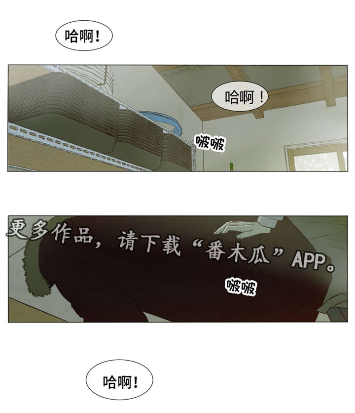第34章：我想了解你0