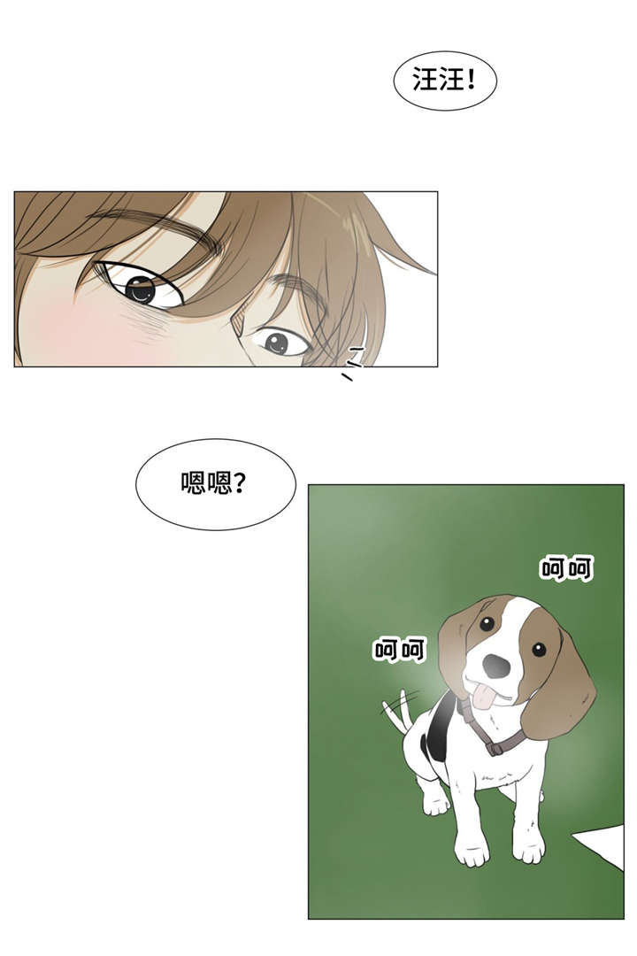 第17章：警车声13