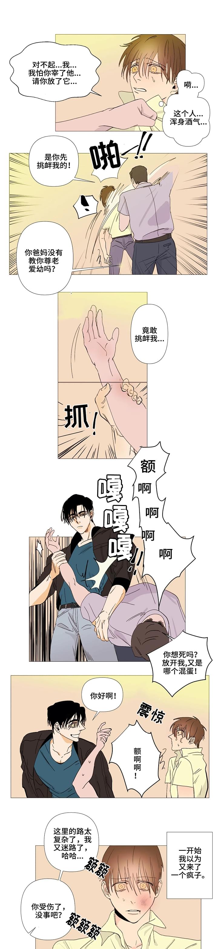第2章：初遇11
