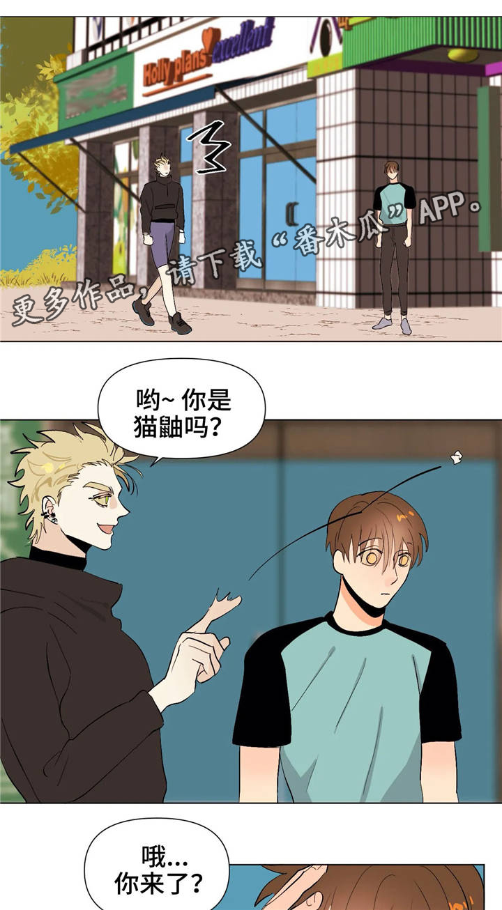 第17章：够了8