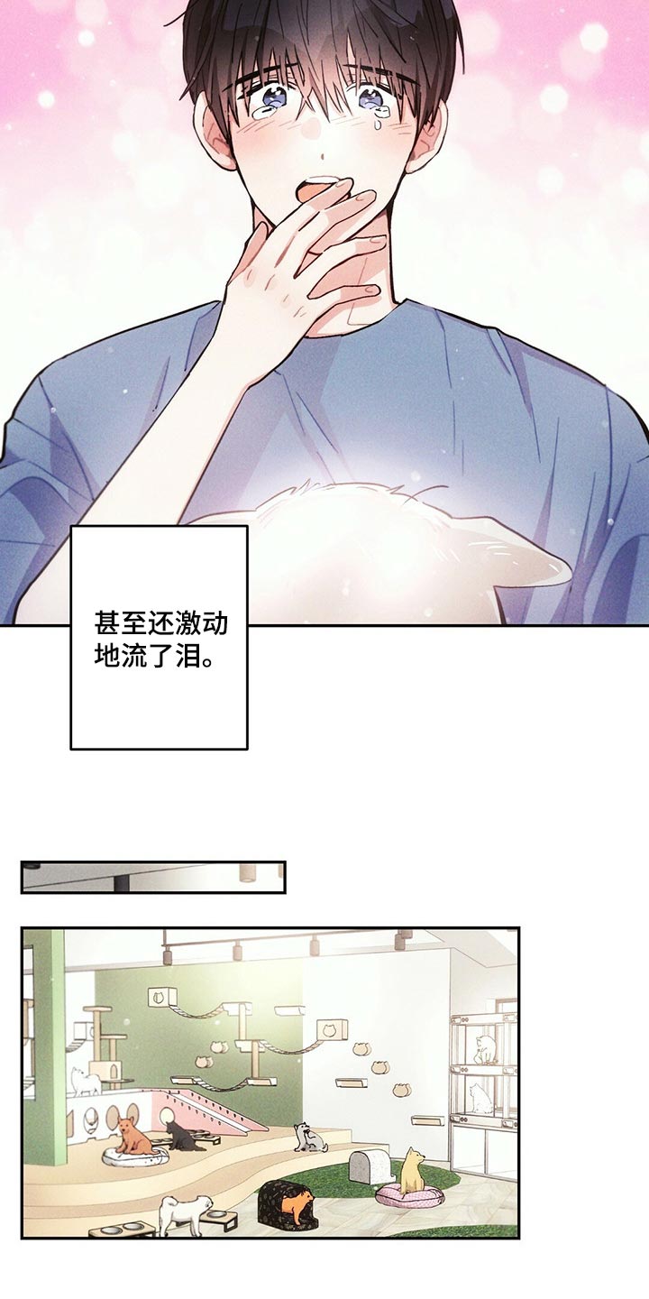 第96章：白色的小狗11