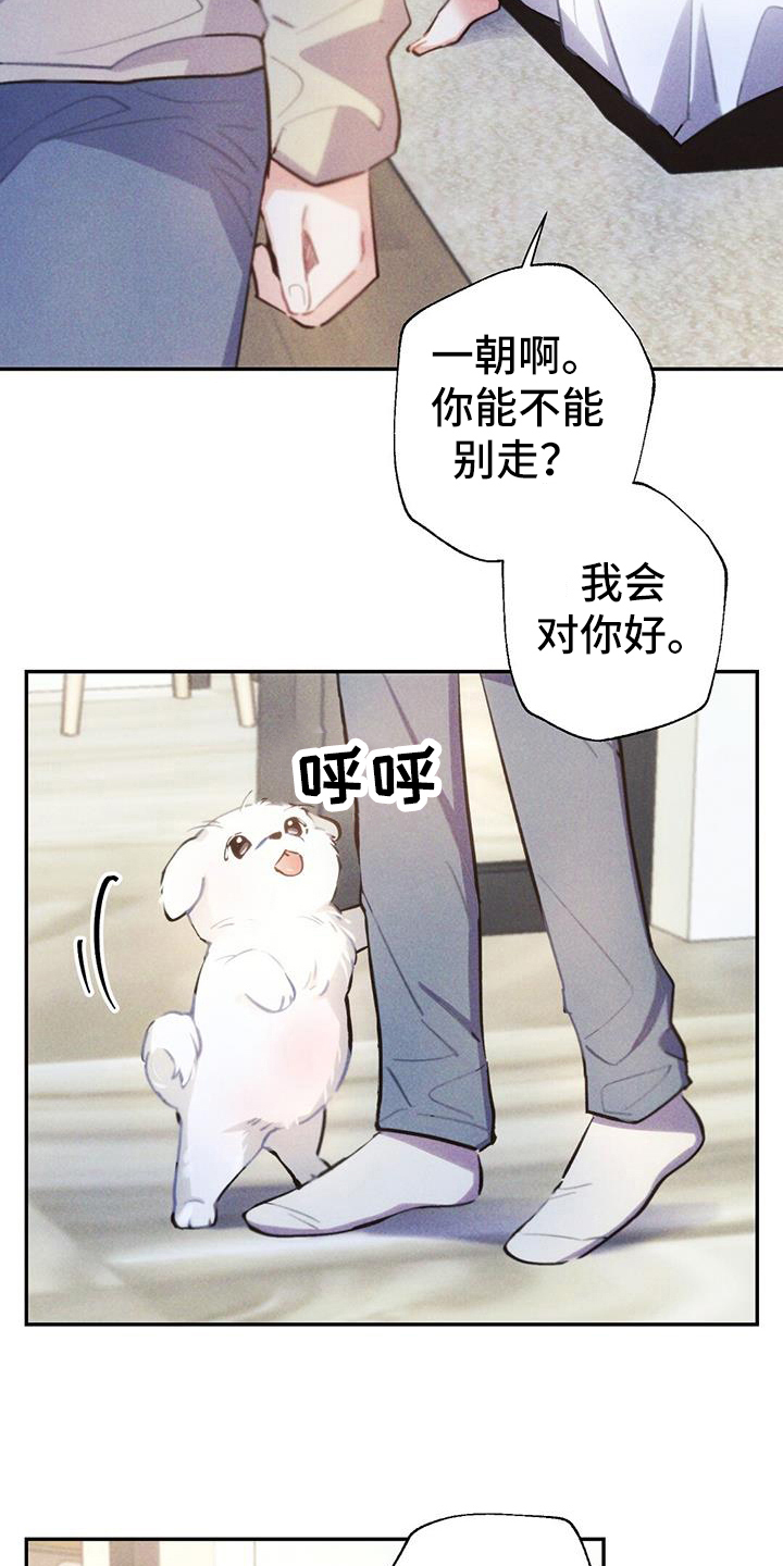第135章：舍不得3