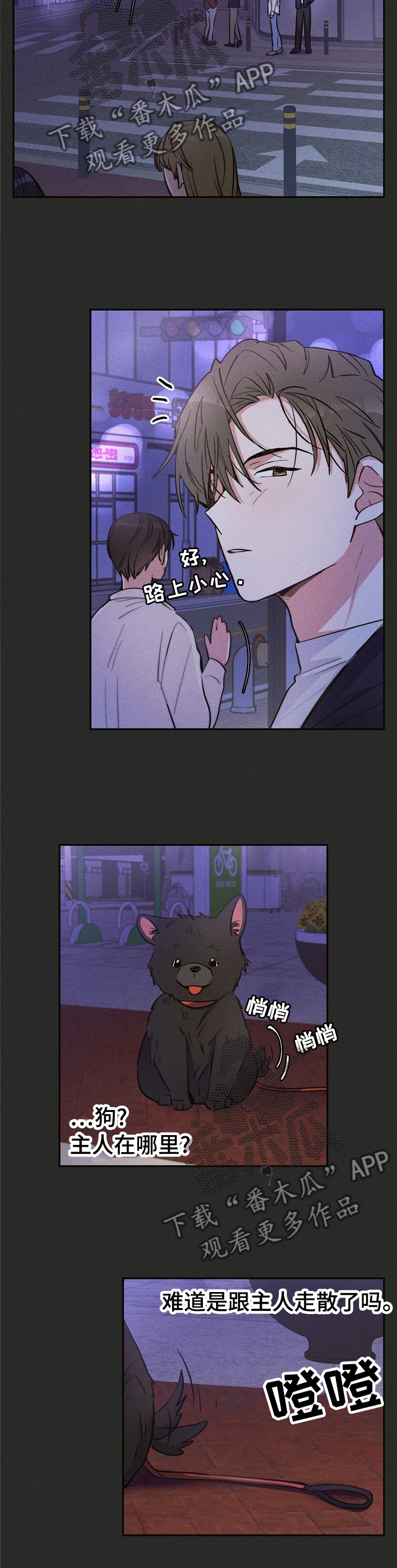 第31章：问题的那天8