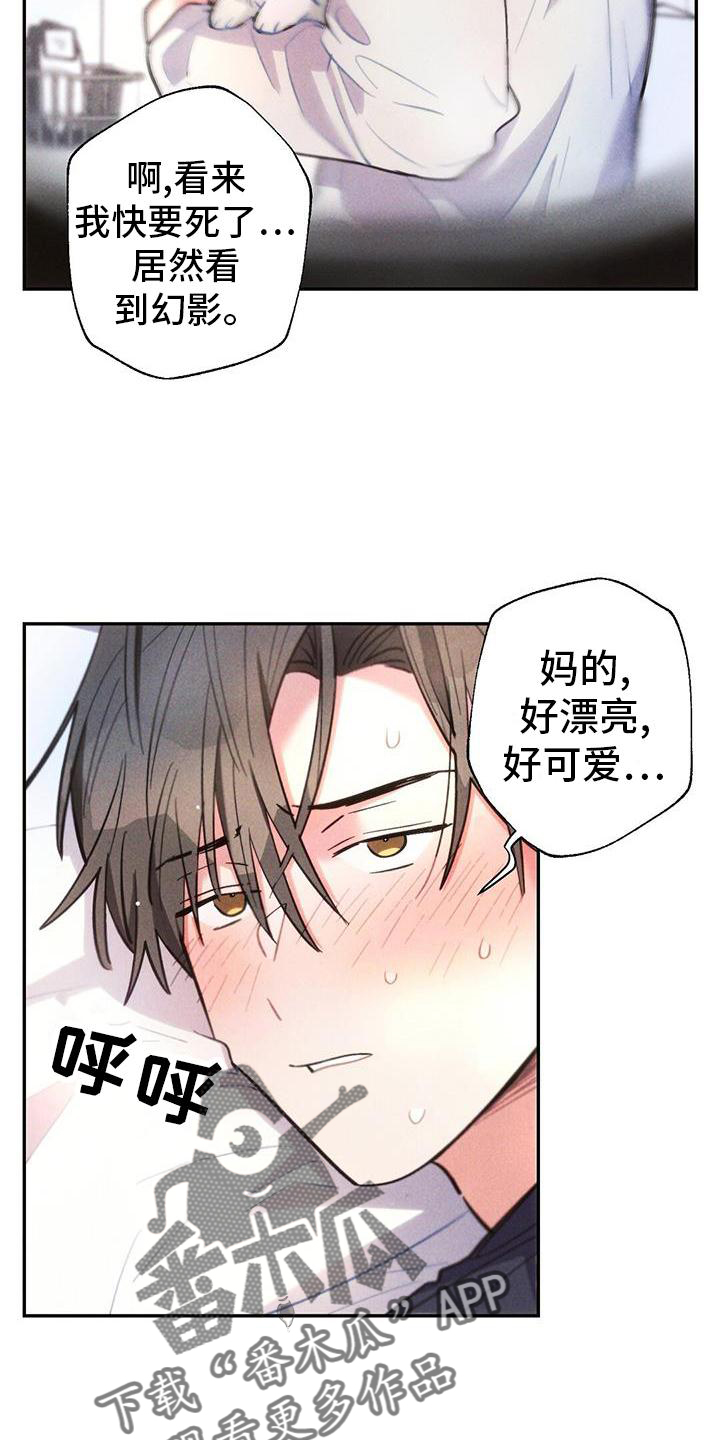 第133章：幻觉9