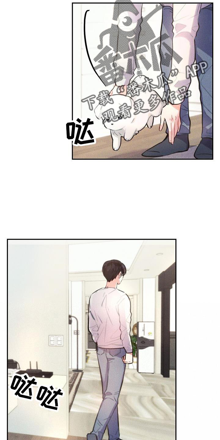 第133章：幻觉14