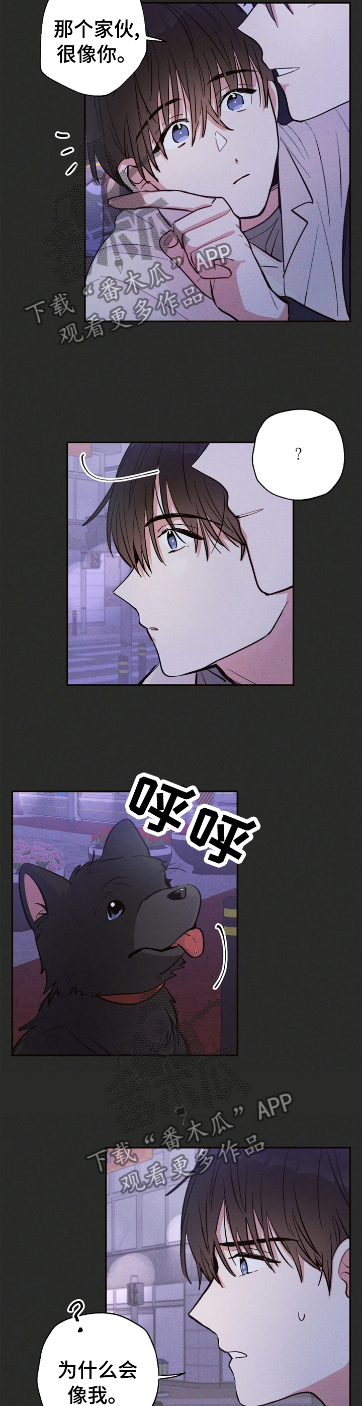 第31章：问题的那天10